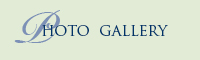 Photo Gallery